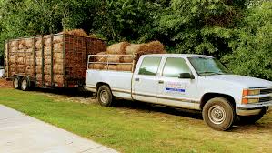 Pinestraw is the fresh fallen pine needles consisting primarily of longleaf and shortleaf pines removed from the forest floor and bailed. Quality Pinestraw Sales Inc Pine Straw Colored Pine Straw Supply Store Gulf Coast Wholesale Retail