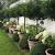 Potted Plants