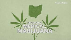 Growing Medical Marijuana Ohios Seed To Sale Process