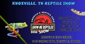 Show me reptiles Show