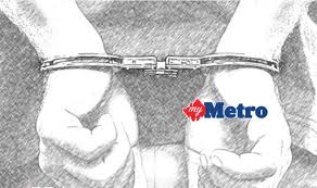 Langkah pertama adalah siapkan pot sebagai tempat bibit kelengkeng yang sesuai dengan ukuran bibit. Menyorok Di Kilang Papan Ke