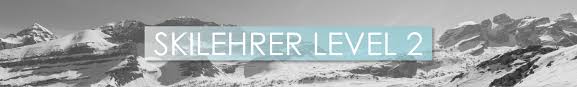 Level 2 is complete practical and full of valuation concepts including valuation for commodity , private companies, private equities. Skilehrer Level 2 Dslv