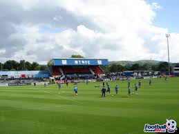 Moss Rose