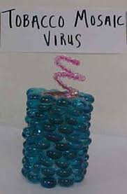 Pin On Biology