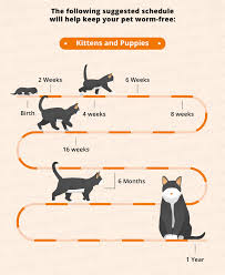 Worming Schedules For Cats Dogs Canna Pet