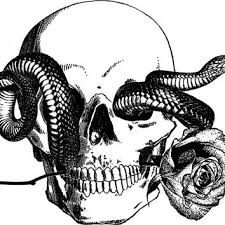 My diy grateful dead hat i made with a patch i found on ebay. Human Skull Snake Tattoo Art Rose Png From Digitalgraphicsshop On