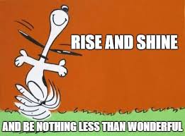 Pin On Funny Good Morning Quotes