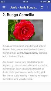 Definisi, jenis, dan cara hidup. Berbagai Jenis Bunga Yang Menawan For Android Apk Download