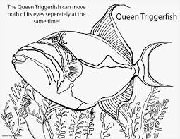 Saltwater Fish Coloring Pages For 2019 Http Www Wallpaperartdesignhd Us Saltwater Fish Coloring Pa Fish Coloring Page Coloring Pages Valentine Coloring Pages