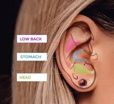 Maybe you would like to learn more about one of these? Ear Seeds Do They Really Work Life Point Acupuncture