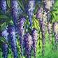 $10 Bottomless Mimosas! Wisteria Wonder