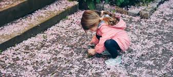 It's just a material by itself. 25 Best Things To Do In Atlanta This Spring With Kids Mommy Nearest