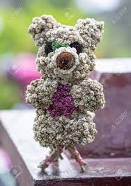 Birthday images birthday greetings ecards images s. The Cute Teddy Bear That Made From Dry Little Flowers Stock Photo Picture And Royalty Free Image Image 67071095