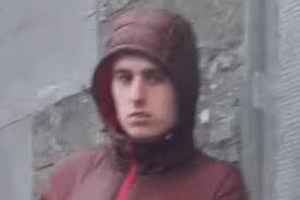 Hot-headed' motorist who abused gardai is fined €150