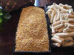 Starlight Cafe This Is Parched Corn With Corn Cobs From Starlight Farm I M Learning About The Uses Of Parched Corn Including Roasted As A Snack Trail Food Which Sustained Native Americans On