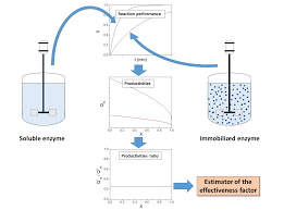 In problem 2, find the effectiveness factor and the true rate constant. Catalysts Free Full Text Estimation Of The Effectiveness Factor For Immobilized Enzyme Catalysts Through A Simple Conversion Assay Html