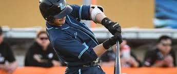 Blue Sox announce return of local utility player Harry Fullerton