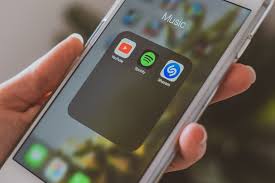 Image result for Hum Test