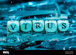 word virus on cubes lying on glass shards. pandemic concept. High quality  photo Stock Photo - Alamy