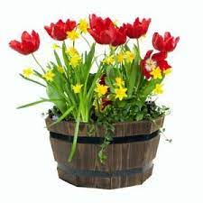 Pennington 17 In Dia Dark Flame Large Wood Barrel 100516133 The Home Depot Barrel Planter Wine Barrel Planter Flower Pots