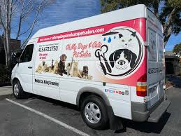 Dog grooming services and cat grooming in king city. Mobile Dog Grooming Cat Grooming Services In The Bay Area Oh My Dogs Cats