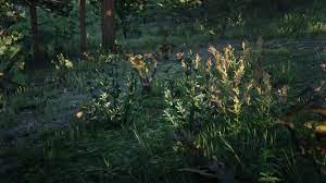 Creeping Thyme Location Red Dead Online Guide Stash