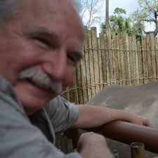 SpaceX Starlink Satellite Constellation Financial Viability