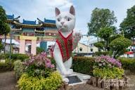 Amazing Borneo Sabah & Sarawak | Look at the cat statue, it is the ...