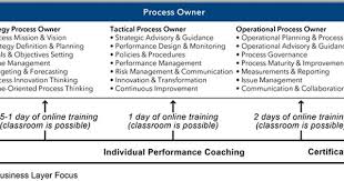Process Owner Roadmap Strategy Definition Process Guidance