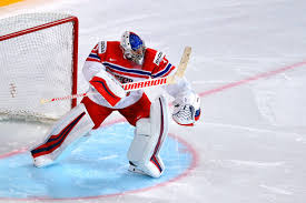 Feb 18, 2018 · red wings' petr mrazek: Petr Mrazek Skoda Storyboard