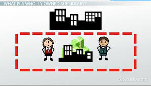 The holding company structure helps confine liability for each asset to the asset. Wholly Owned Subsidiary Definition Advantages Disadvantages Video Lesson Transcript Study Com