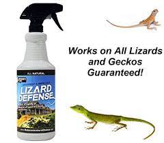 I offered him all of mine. Pest Control Sprayers Lizard Defense All Natural Deterrent And Repellent Spray Safe And Effective For All Get Rid Of Lizards Natural Repellent Pest Control