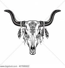 Bull tattoos for girls, men & women. Bull Skull Horns Vector Photo Free Trial Bigstock