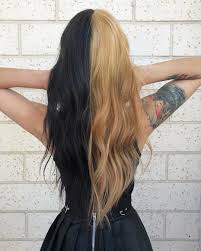 Half Black Half Blond Hair Half Dyed Hair Dyed Hair Dyed Blonde Hair