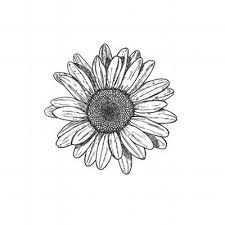 Black And White Daisy Tattoo Designs Black Ink Daisy Flower Tattoo Design Daisy Tattoo Designs Flower Drawing Tumblr Daisy Flower Tattoos