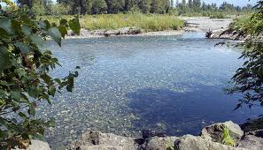 Lakeside, candlebark and devil cove make up the fraser camping area. Vedder River Campground Fraser Valley Regional District