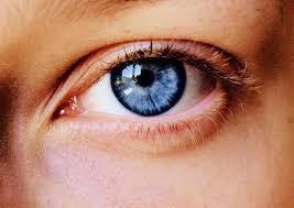 Pin By Amy Buchert On Art References Dark Blue Eyes Blue Eye Color Blue Eyes