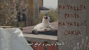مسلسل الحفره cukur cukur arb twitter funny arabic quotes badass quotes turkish quotes