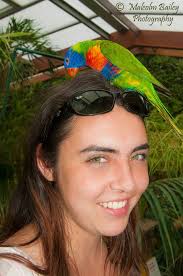 Malcolm Bailey Photography