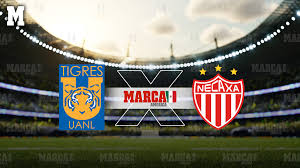 Dónde ver Tigres vs Necaxa: Hora, canal TV y transmisión online de la Jornada 7 del Apertura 2026 de Liga MX