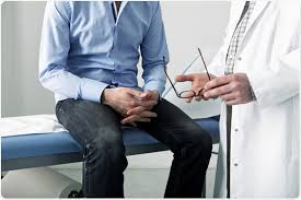 Male Infertility Epidemiology