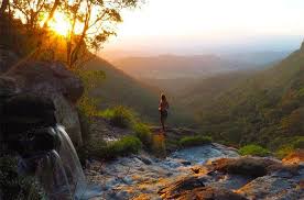 Morans Falls Your Ultimate Guide To Waterfalls And Swimming Holes Near Brisbane Swimming Holes Cedar Creek Falls Natural Bridge Springbrook