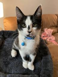 Avery Downs (@avery_downsssss)