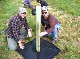 Maybe you would like to learn more about one of these? Tree Shelters Are They Worth It And If So When Should They Be Removed Getting More On The Ground