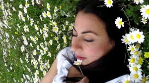 Young woman lying in the daisy field