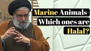 For instance, a set of rulings has been given for land animals, sea creatures, birds and so on. Quick Answer Is Crab Makrooh In Islam Bill Walters Online