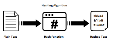 It's important to stress that the cryptography underpinning the bitcoin but, besides enriching the mystery bounty recipient, the sha1 collision vulnerability does pose a concern. The Difference Between Sha 1 Sha 2 And Sha 256 Hash Algorithms