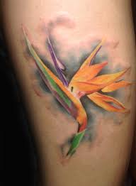 Realistic Bird Of Paradise Flower Tattoo Birds Of Paradise Tattoo Bird Of Paradise Tattoo Watercolor Tattoo Flower Tattoos