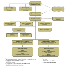 Organization Chart Crir