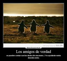 Imagenes Y Carteles De Pinguinos Pag 49 Desmotivaciones Molde silicon pez delfín pingüino pulpo ballena jabón choco. desmotivaciones es